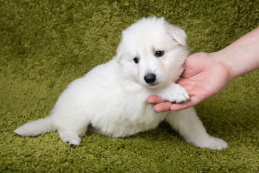 Similar image 6049636