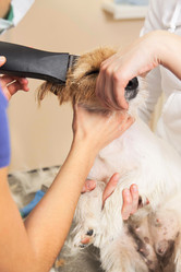 Similar image 6049641