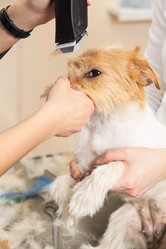 Similar image 6049642