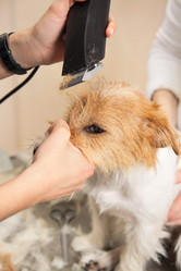 Similar image 6049643