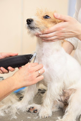 Similar image 6049644