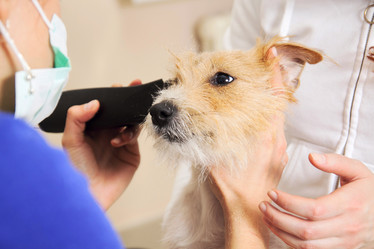 Similar image 6049657