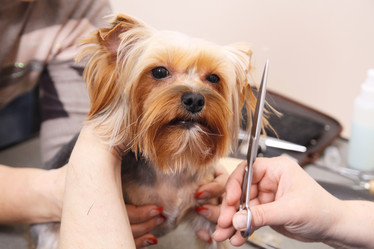 Similar image 6049658