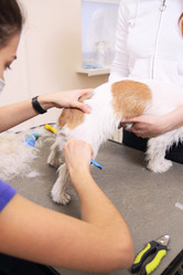 Similar image 6049659