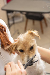 Similar image 6049661