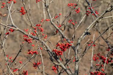 Similar image 6049710