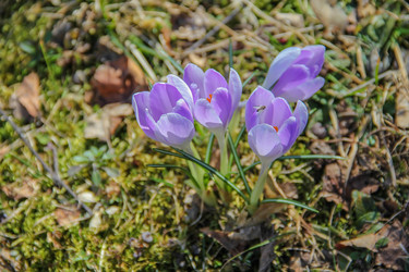 Similar image 6049817