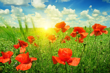 Similar image 6049890