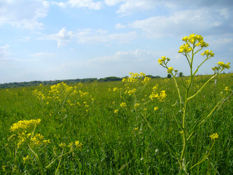 Similar image 6049996