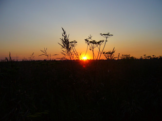 Similar image 6049998