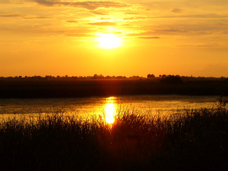 Similar image 6050002