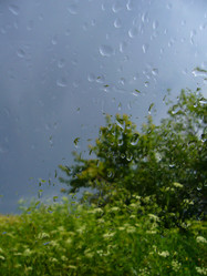 Similar image 6050007