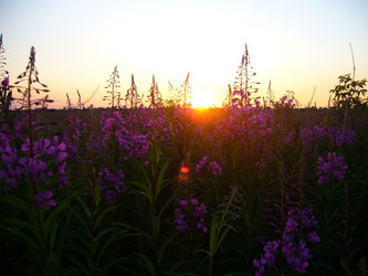 Similar image 6050009