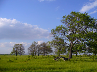 Similar image 6050012