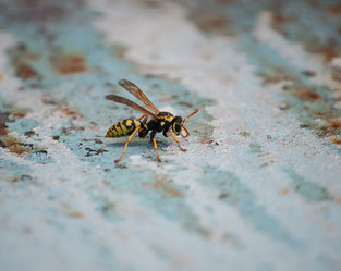 Similar image 6050018