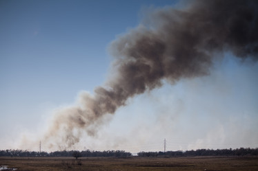 Similar image 6050019