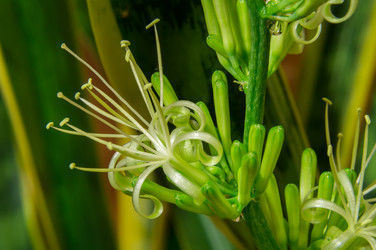 Similar image 6050034