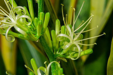 Similar image 6050035