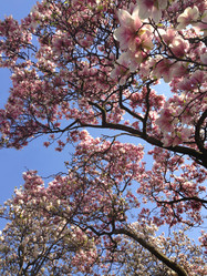 Similar image 6050043