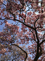 Similar image 6050044