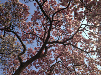 Similar image 6050045