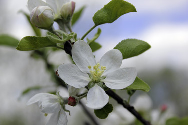 Similar image 6050050