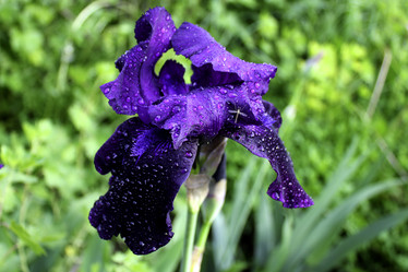 Similar image 6050052