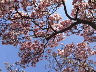 Similar image 6050070