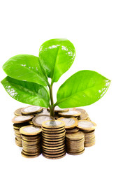 Similar image 6050071