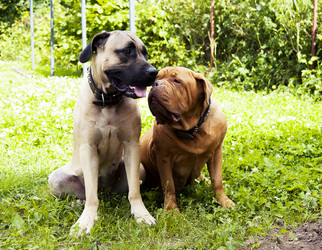 Similar image 6050159