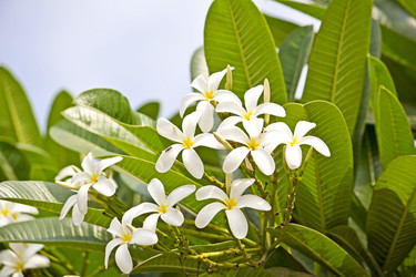 Similar image 6050166