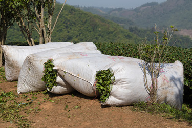 Similar image 6050224