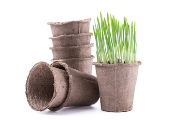 Similar image 6050226