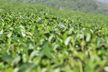 Similar image 6050227