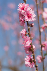 Similar image 6050228