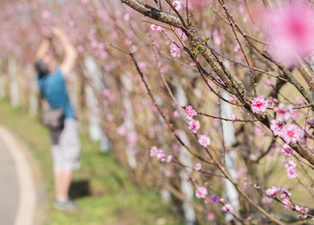 Similar image 6050229