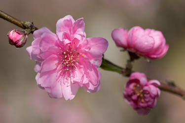 Similar image 6050231