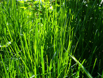 Similar image 6050267