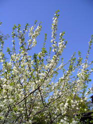 Similar image 6050268