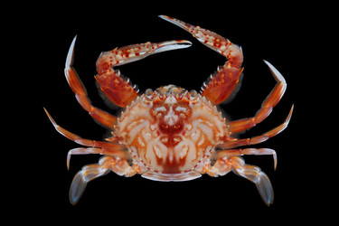 Similar image 6050269