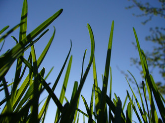 Similar image 6050270