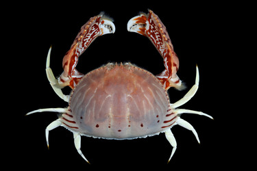 Similar image 6050271