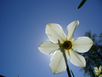 Similar image 6050275