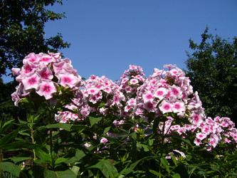 Similar image 6050276