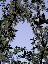 Similar image 6050281