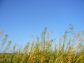 Similar image 6050282