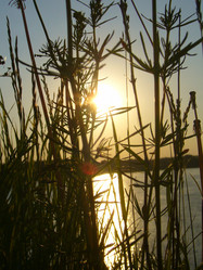 Similar image 6050283