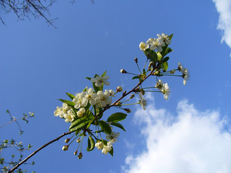 Similar image 6050284