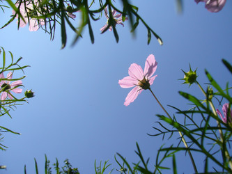 Similar image 6050285