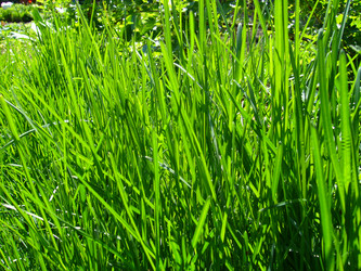 Similar image 6050383